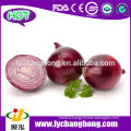 Fresh Red Onion